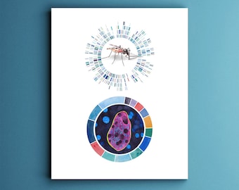 Malaria profile, science art, sciart, plasmodium, genome, genetics, biology art, science print, dna art, medical art, dna print, malaria art