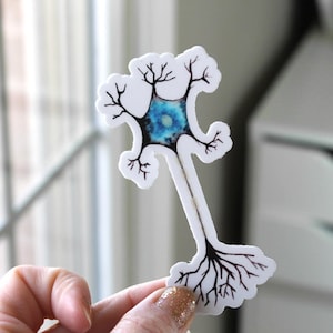 Neuron Sticker, Vinyl Sticker, Stickers, Laptop Stickers, Bumper Stickers, Phone Stickers, Planner Stickers, Science, Science Stickers