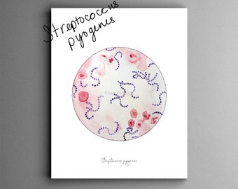 Streptococcus 3, science art, watercolor print bacteria art, science print, microbes, microbiology, bacteria