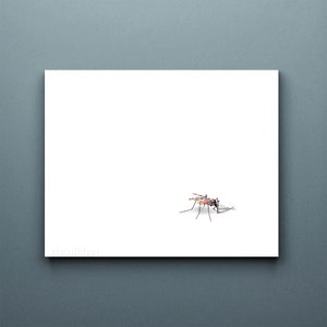 Mosquito, mosquito print, mosquito art, sciart, science art, science illustration, insects, art print, insect print