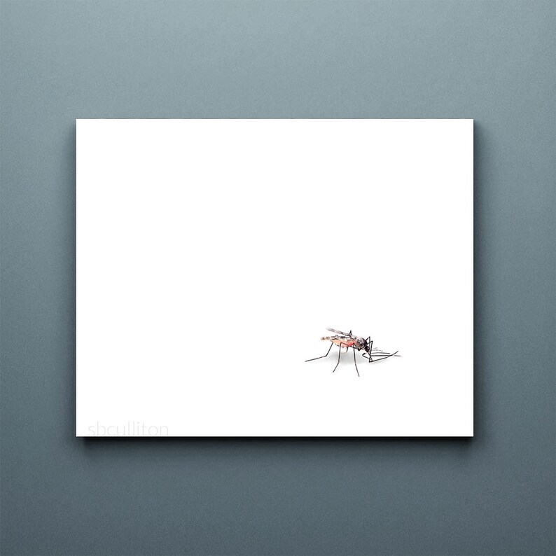 May include: A close-up of a mosquito on a white background. The mosquito is in focus, and its legs and wings are visible.