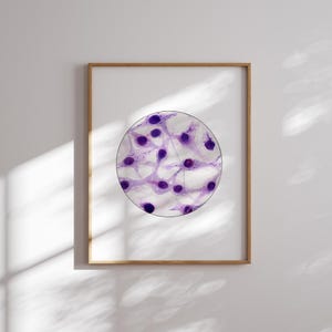 Macrophages with Listeria, Microbiology, Immunology, Science, science art, bacteria, biology, science print, nursing, medicine, medical art