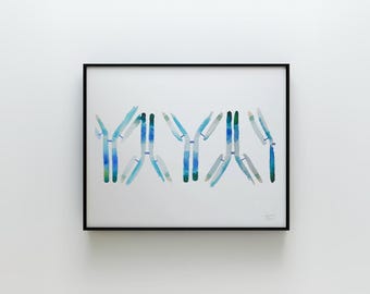 IgG, Antibody, antibodies, immunology, science art, antibody print, biology art, science art, watercolor print, science print, medicine