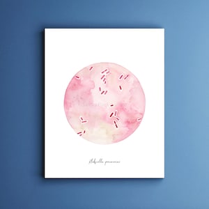 Klebsiella pneumoniae, microbiology, bacteria, microbiology art, science, science art, biology, nursing, medical art, microbes, bacteria art