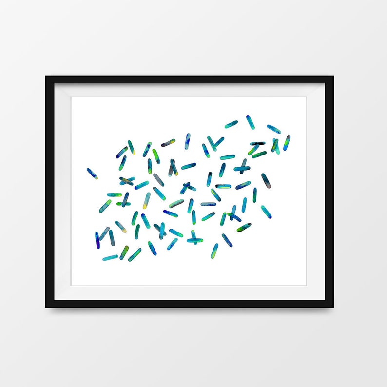 Bacillus 7, Science art, science print, science, bacteria art, bacteria, biology, microbiology, watercolor print, watercolor, art print image 5