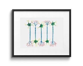 Neuron 5, Neuronen, Wissenschaftskunst, Wissenschaftsdruck, Aquarellkunst, Kunstdruck, Aquarellmalerei, Neurologie, Neurowissensschaften, Biologie