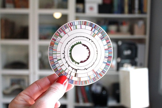 Science DNA Art - Genetic Kaleidoscope | Sticker