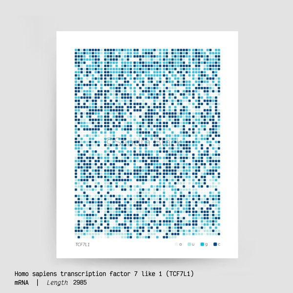 TCF7L1, sequence art, genetics art, dna, rna, biology art, science art, science, science gift, genetics gift, science gift, science research