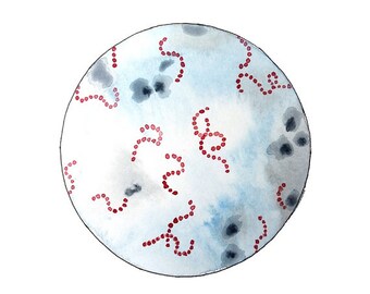 Streptococcus 2, science, bacteria, science art, science painting, biology art, watercolors paintings original, geekery, watercolor print
