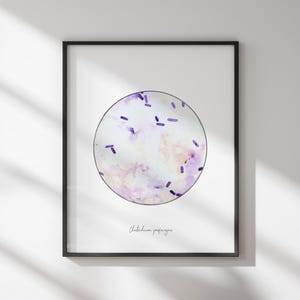 Clostridium perfringens, medical art, science art, medical print, microbiology, bacteria, microbiology print, biology art, nurse gift