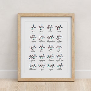 Amino Acids, Chemistry art, science, science art, science print, biology art, watercolor print, science print, molecule, biology print