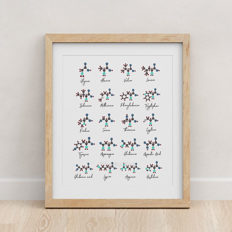 Amino Acids, Chemistry art, science, science art, science print, biology art, watercolor print, science print, molecule, biology print image 1