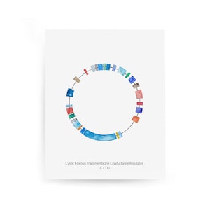 CFTR Gen Map, Mukoviszidose, DNA, Biologie, Genetik, Biologie Kunst, Wissenschaft Kunst, Sciart, RNA, Wissenschaft Druck, Medizin, Axone, Kodierung