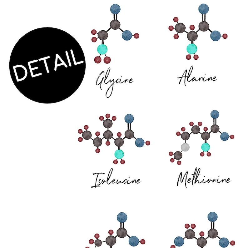 Aminozuren, chemiekunst, wetenschap, wetenschapskunst, wetenschapsprint, biologiekunst, aquarelprint, wetenschapsprint, molecuul, biologieprint afbeelding 4