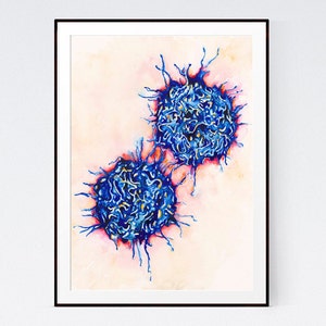 T cells, science art, science print, medical, watercolor art, watercolor print, medical print, medical art, immunology, biology art, sciart