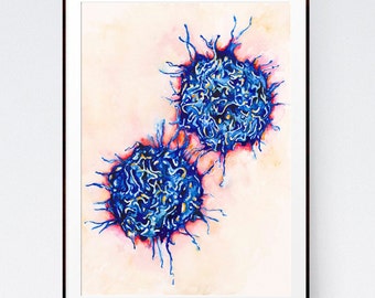 T cells, science art, science print, medical, watercolor art, watercolor print, medical print, medical art, immunology, biology art, sciart