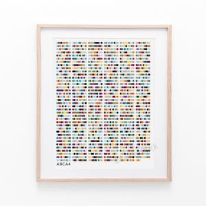 Puede incluir: Una impresión enmarcada con un diseño abstracto colorido de pequeños círculos en varios tonos de rojo, naranja, amarillo, verde, azul, morado y negro. La impresión se titula "ABCA4".