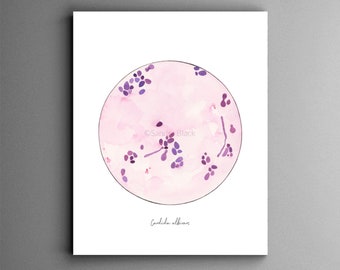 Candida albicans, microbiology, mycology, microbiology art, science, science art, biology, medical art, fungi, yeast art, art print, print