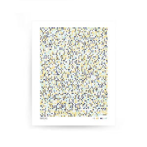 May include: A white print featuring a pattern of small, colorful dots in yellow, blue, and black. The print includes the text "BRCA1" at the bottom left and a legend with colored dots and letters.