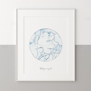 Streptomyces venezuelae, Science Print, Art Print, Microbiology, Microbes, Bacteria Art, Mycology, Science Art, Bacteria Print, Bacterium