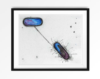 Conjugation, Science art, Watercolor print, Microbiology, Microbes, Geekery, geekery art, bacteria, science art, watercolour print, biology