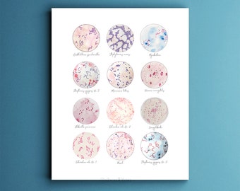 Microbe Collection, Bacteria, Bacteria Art, Science, Science art, microbiology, biology art, watercolor print, science decor, science gift,
