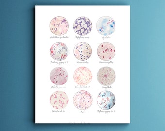 Collection de microbes, bactéries, art bactérien, science, art scientifique, microbiologie, art biologique, impression aquarelle, décor scientifique, cadeau scientifique,