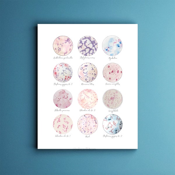 Microbe Collection, Bacteria, Bacteria Art, Science, Science art, microbiology, biology art, watercolor print, science decor, science gift,