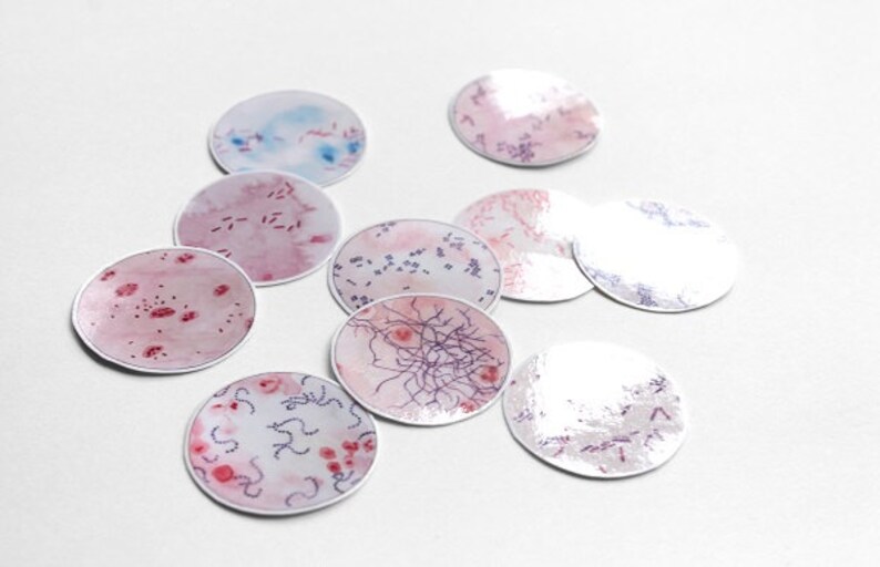 Bacteria Vinyl Stickers Science Sticker Microbiology | Etsy