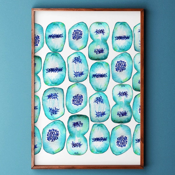Mitosis, watercolor print, science, mitosis, biology art, science print, science art, watercolors, biology, geekery, sciart, cell biology