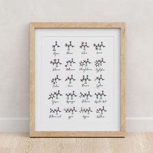 Amino Acids, Chemistry art, science, science art, science print, biology art, watercolor print, science print, molecule, biology print