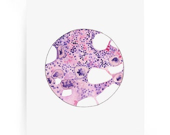 Bone Marrow 2, Histology, Science Print, Biology Art, Science, Laboratory, Science gift, medical illustration, cancer, microscope, art print