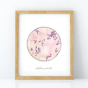 Burkholderia, Microbes, Science Print, Science art, microbiology art, biology art, bacteria, microbiology, biology, bacteria art, art