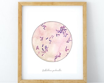 Burkholderia, Microbes, Science Print, Science art, microbiology art, biology art, bacteria, microbiology, biology, bacteria art, art