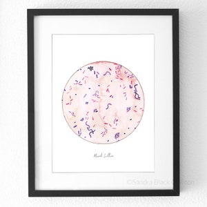 Mixed Culture, art print, watercolor, science, medical, science art, biology, science gift, microbiology, biology art, laboratory, prints