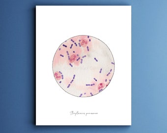 Streptococcus pneumoniae, Bacteria, bacteria art, science, science art, watercolor print, biology art, microbiology, teacher gift