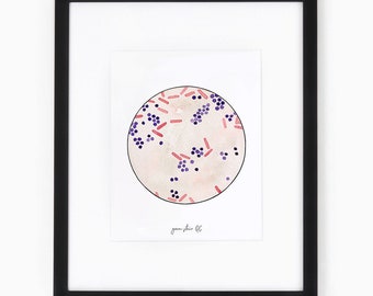 Gram Stain QC, bacteria, bacteria art, science, science art, microscope, science gift, bacillus, medical print, watercolor, science print