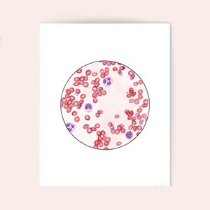 Blood Smear 3, Science art, biology art, science gift, red blood cells, cell art, blood, watercolor print, science print, med tech, sciart