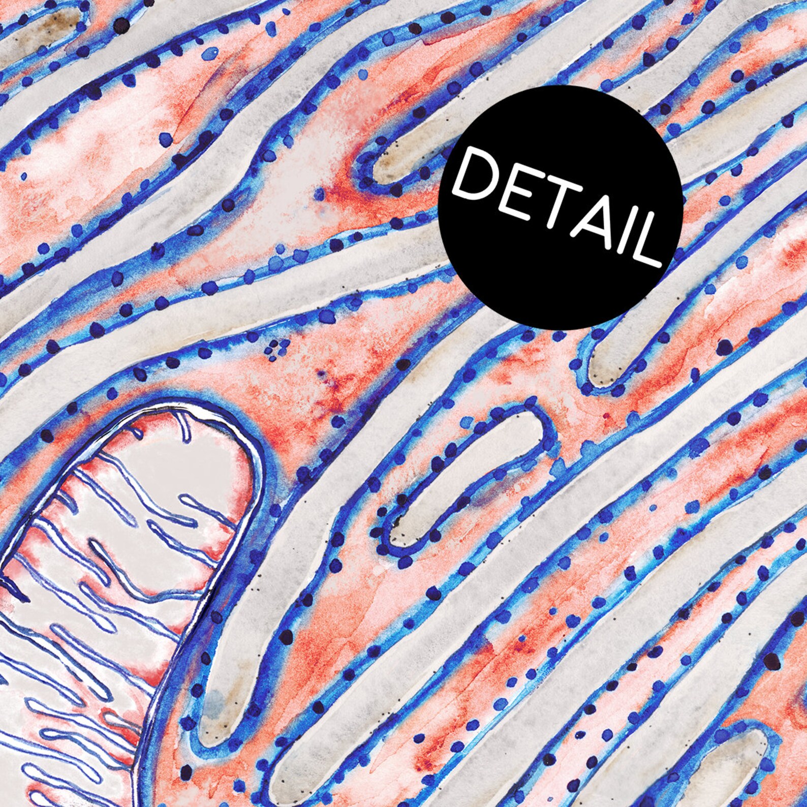 Endoplasmic Reticulum in Orange: Art Print Biology Science Illustration ...