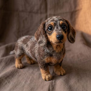 Könnte beinhalten: Eine nadelgefilzte Dackel-Figur mit einem gesprenkelten braunen, beigen und grauen Fell aus Wolle. Der Hund hat lange Schlappohren, große dunkle Augen, eine schwarze Nase und kurze Beine und steht in einer aufmerksamen Haltung.
