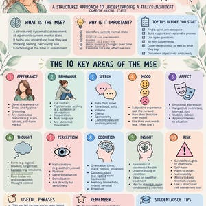 May include: An educational infographic titled Mental State Examination (MSE) by Thrive MHN. It outlines ten key areas of assessment including appearance, behavior, speech, mood, affect, thought, perception, cognition, insight, and risk, with icons.