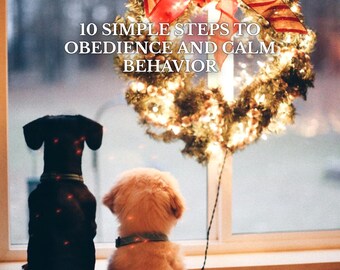 How To Train Your Dog