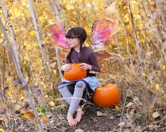 PUMPKIN FAIRY WINGS