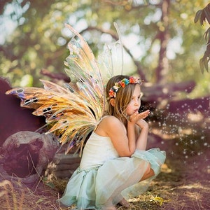 SYLPH WINGS Large fairy wings