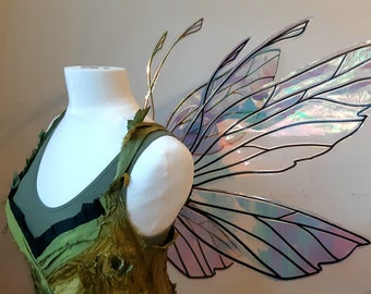 Klary wings