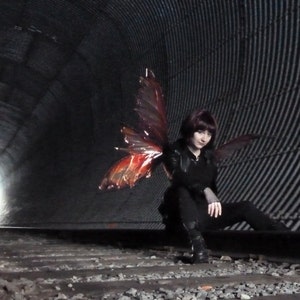 QUEEN MAB WINGS    Dark Iridescent Realistic Fairy wings