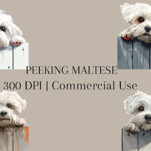Malteser Clipart Bundle, Hunde Portrait, Malteser Png, Junk Journal Hund, Haustier Gedenkstätte, Maltesische Mutter, Verschönerung beim Kartenbasteln