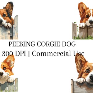 Clipart de perro Corgi asomado - 4 diseños digitales (300 DPI, uso comercial), PNG transparente, uso comercial, descarga instantánea, perro Corgi PNG