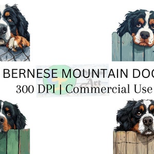 Peeking Berner Berg Clipart, 300 Dpi, Sennenhund Dekor, digitale Hundegrafik, Haustierliebhaber Wohnkultur, kommerzielle Nutzung, digitaler Download