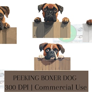 Gluren Boxer Dog Clipart - 300 DPI digitale PNG voor commercieel gebruik | reclame voor hondenclipart | gluren boxerkunst | knutselbundel voor honden